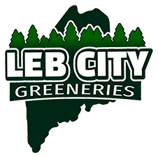 Leb City Greeneries